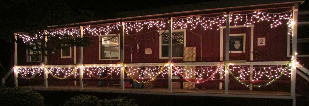 Cabin decorated with twinkle lights