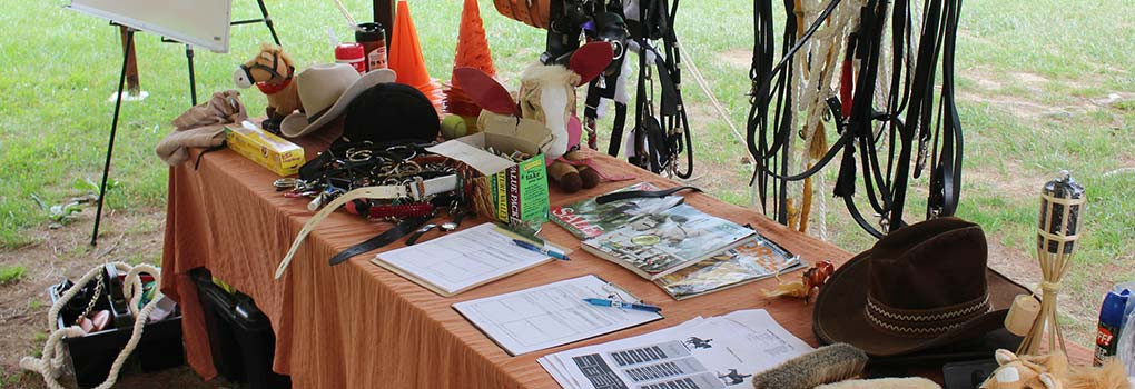 A table with pony equipments and class materials set out.