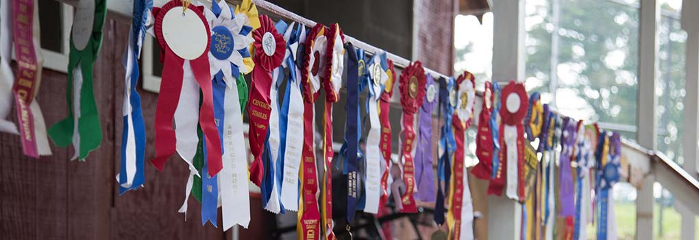 A cabing railing decorated with pony show ribbons