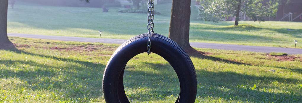 A tire swing, in a field, sparkling at dawn